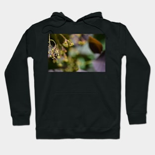 Jungle Bee Hoodie